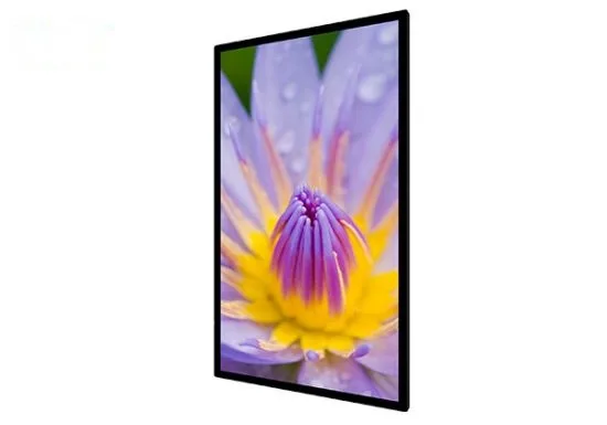 32 Inch Internet wall mounte AD Player_AD3201 image 4