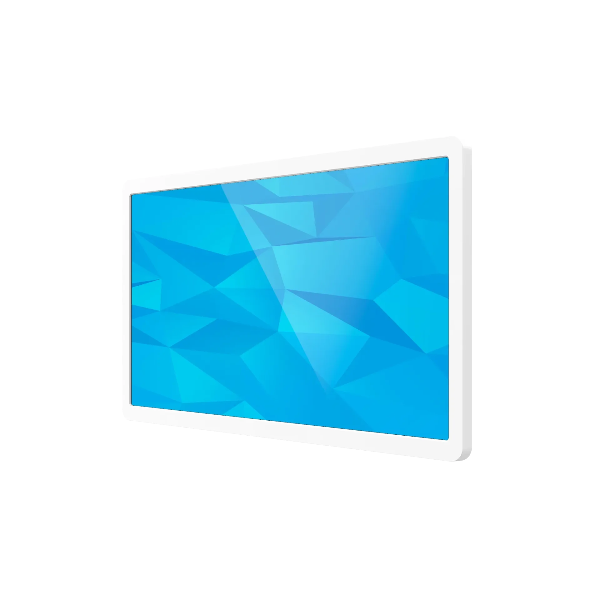 NW2193T 21.5" Touchscreen Signage image 3
