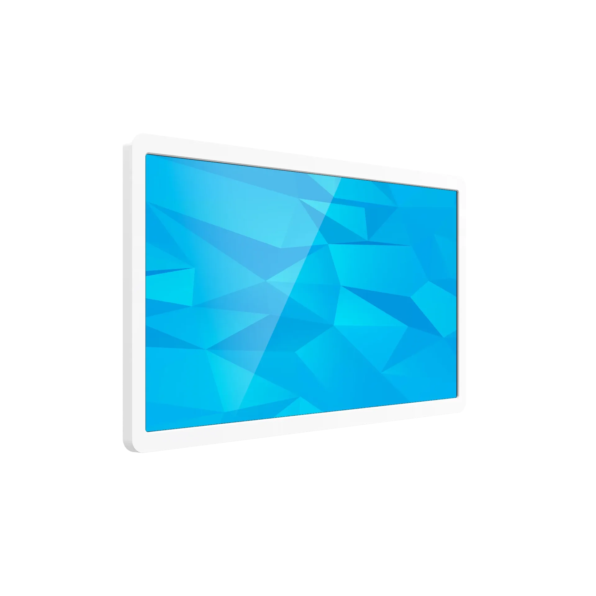 NW2193T 21.5" Touchscreen Signage image 2